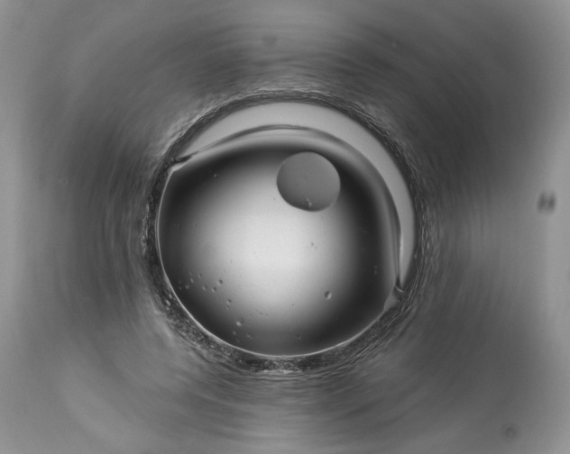 X0000114210544200910231408