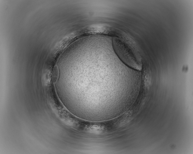 X0000114210546200910231408