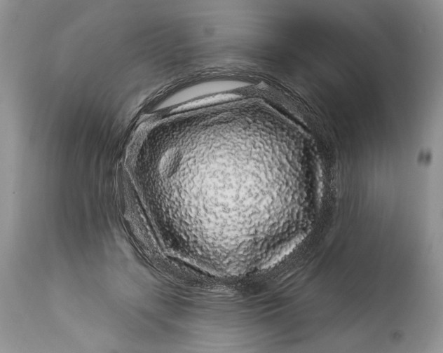 X0000114210547200910231409