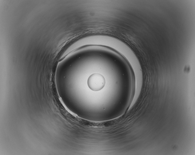 X0000114210548200910231409