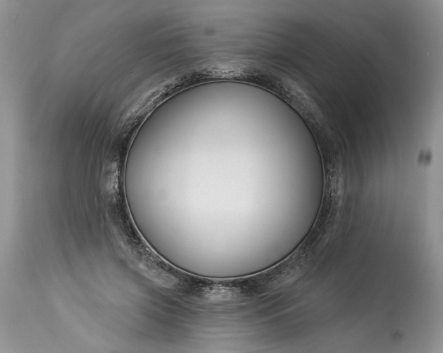 X0000114210549200910231409