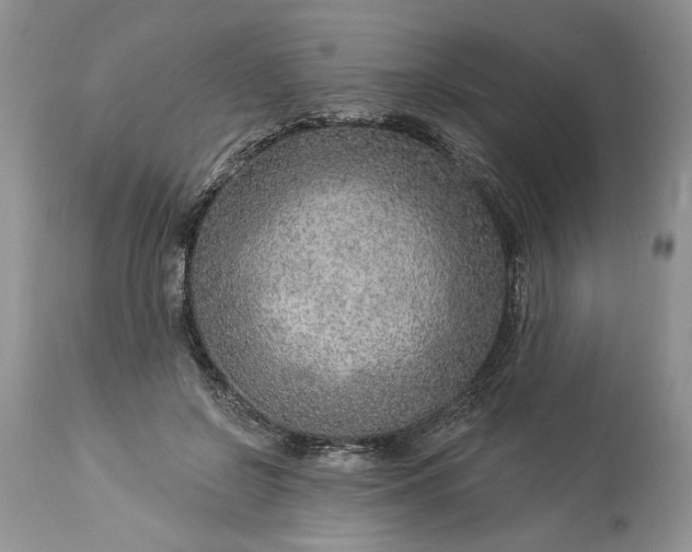 X0000114210550200910231409