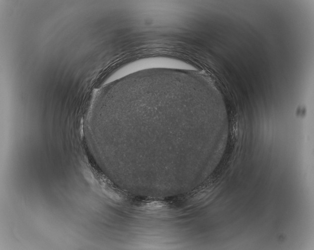 X0000114210551200910231409