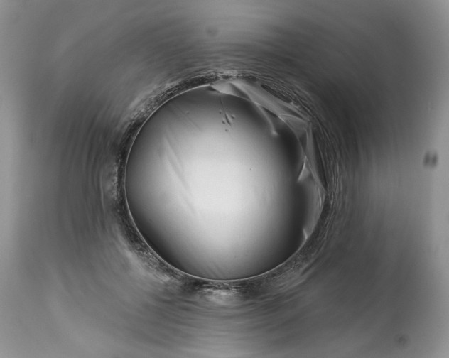 X0000114210552200910231409