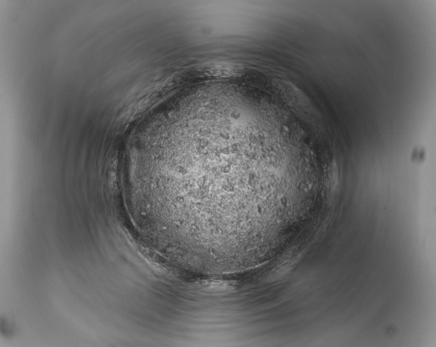 X0000114210553200910231409