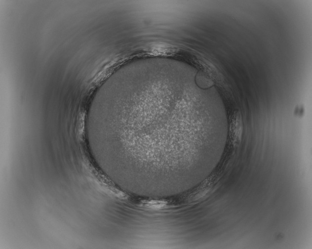 X0000114210554200910231409