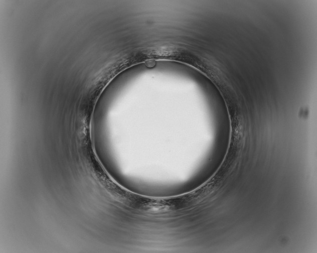 X0000114210555200910231409