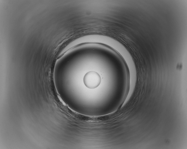 X0000114210556200910231409