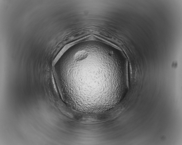 X0000114210559200910231409