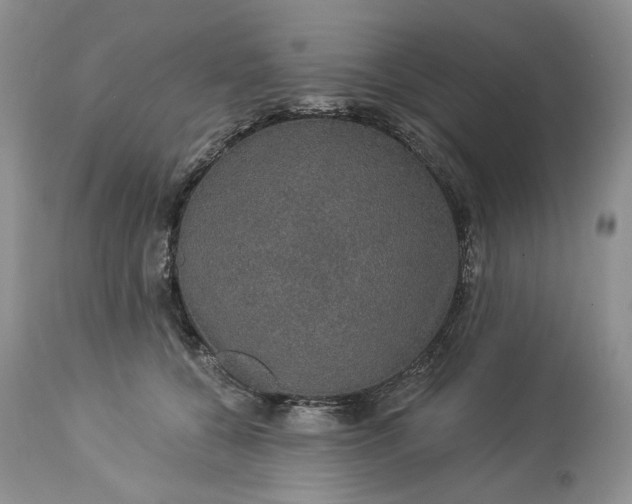 X0000114210560200910231409