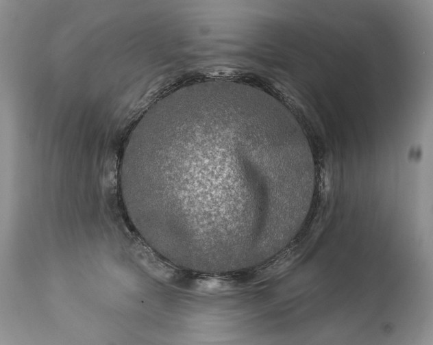 X0000114210561200910231409