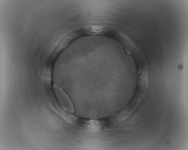 X0000114210562200910231409