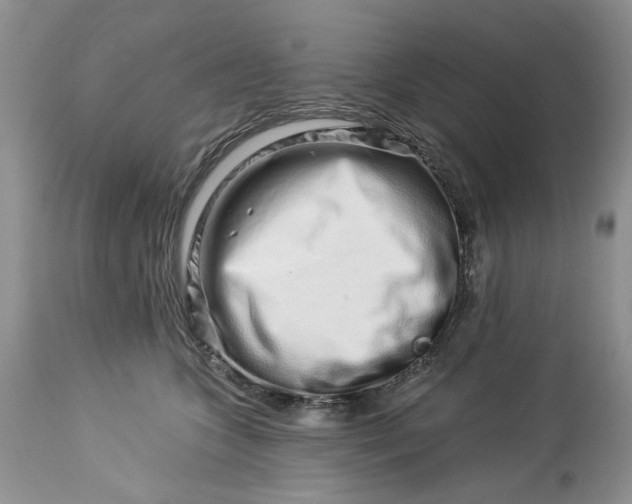 X0000114210563200910231409