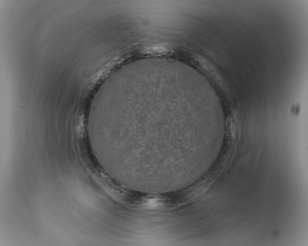 X0000114210564200910231409