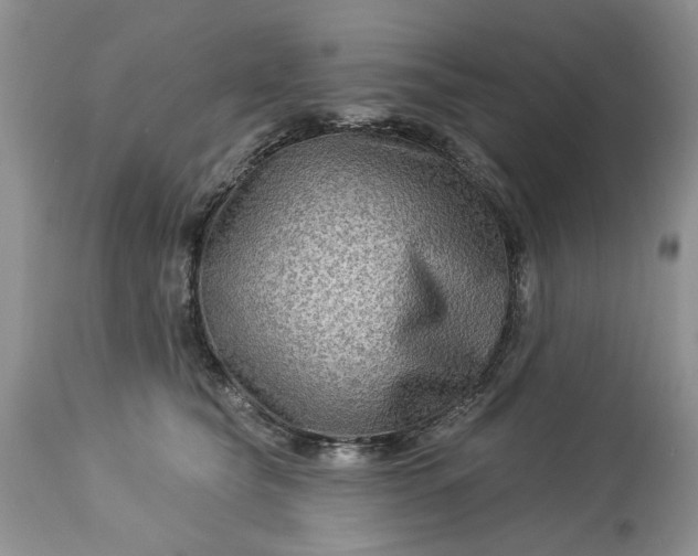 X0000114210565200910231409