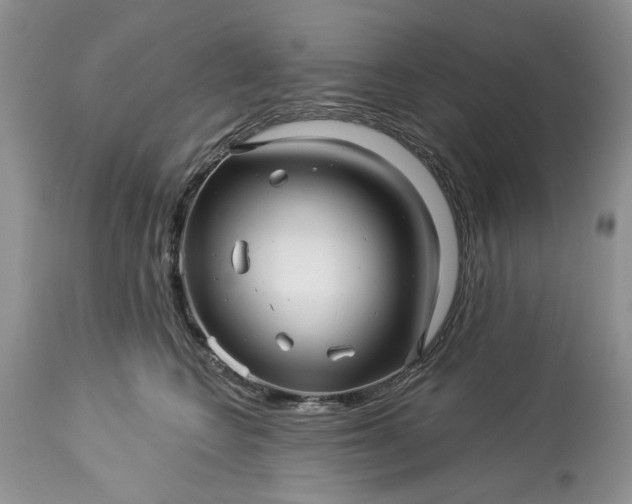 X0000114210566200910231409