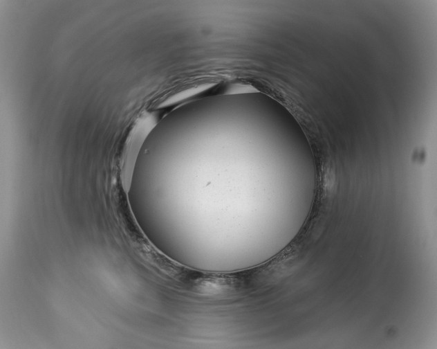 X0000114210567200910231409