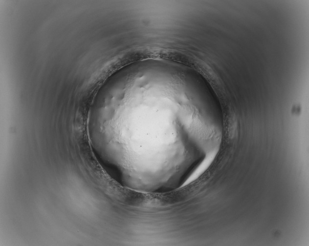 X0000114210569200910231409