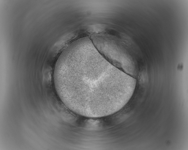 X0000114210570200910231409