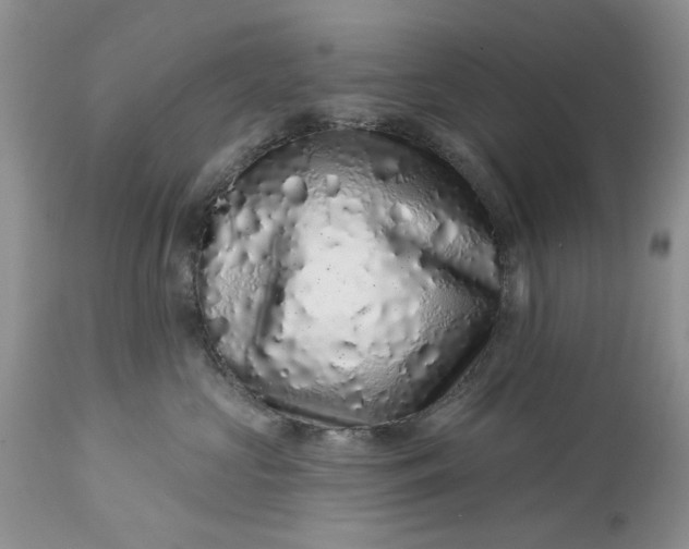 X0000114210573200910231409