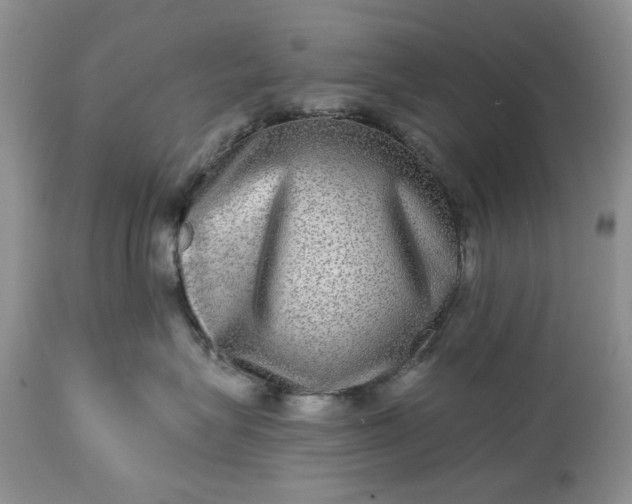 X0000114210575200910231409