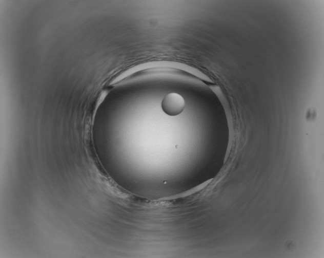 X0000114210576200910231409