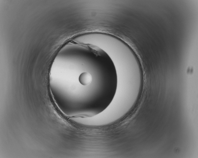 X0000114210577200910231408