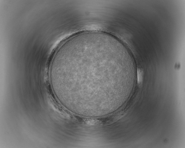 X0000114210579200910231408