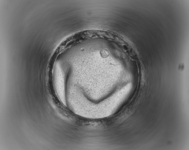 X0000114210580200910231408