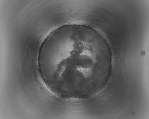 X0000114210581200910231408