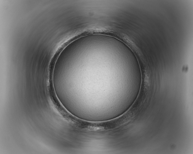 X0000114210582200910231408