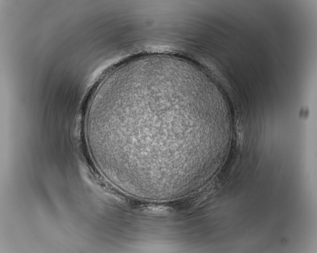 X0000114210583200910231408