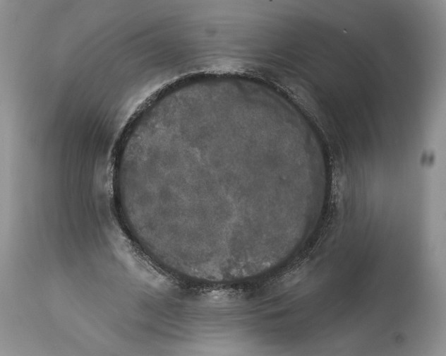 X0000114210584200910231408