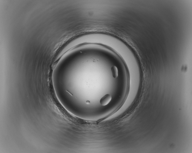 X0000114210585200910231408