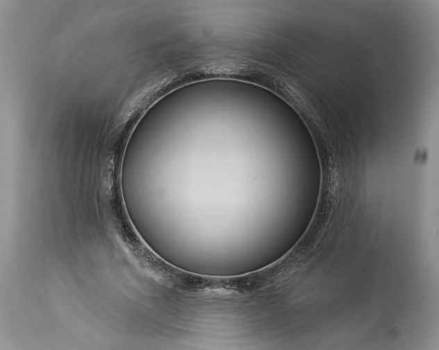 X0000114210586200910231408