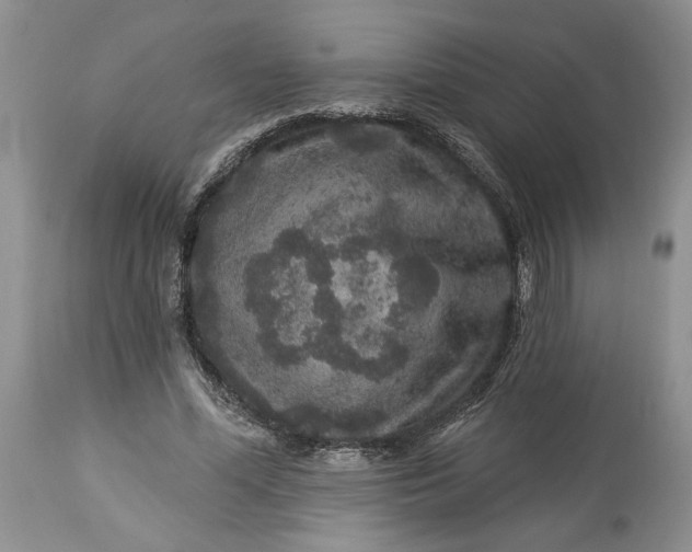 X0000114210588200910231408