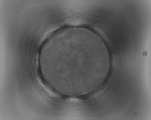 X0000114210590200910231408