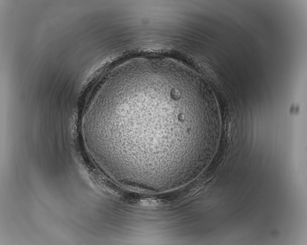 X0000114210591200910231408