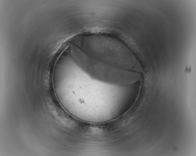 X0000114210592200910231408