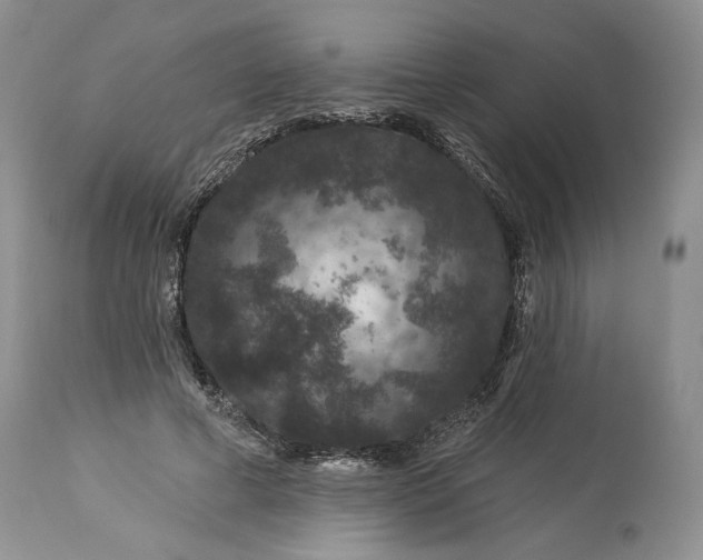 X0000114210593200910231408