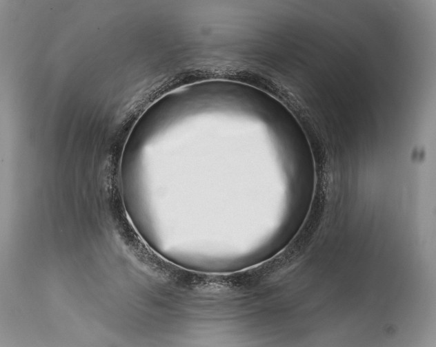 X0000114210594200910231408