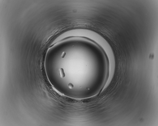 X0000114210595200910231408