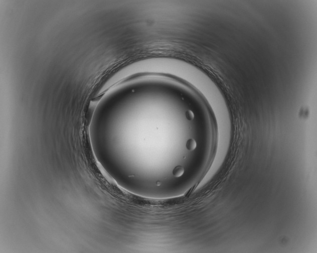 X0000114210597200910231408