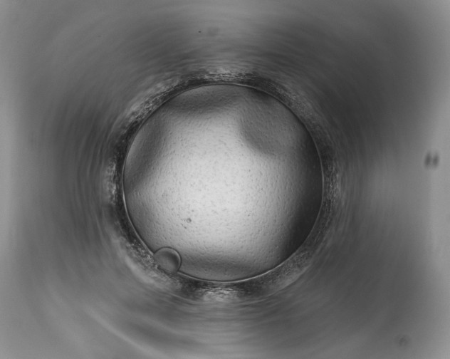 X0000114210599200910231408