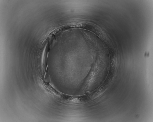 X0000114210600200910231408