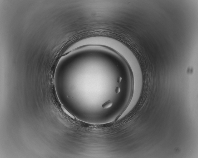 X0000114210601200910231408