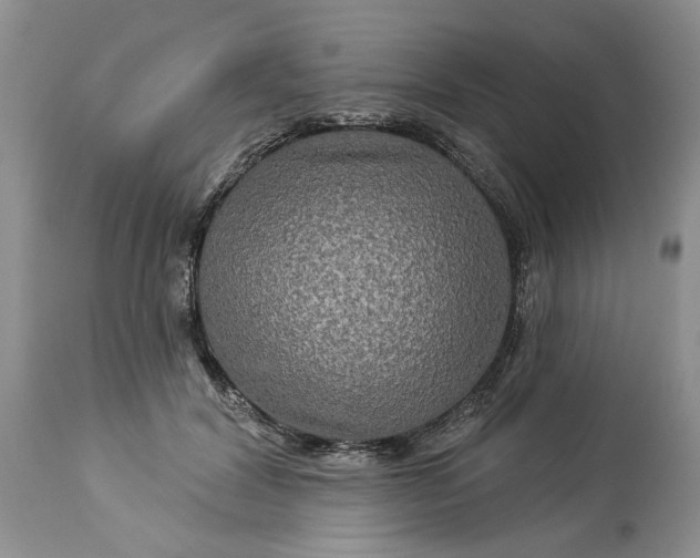 X0000114210604200910231408