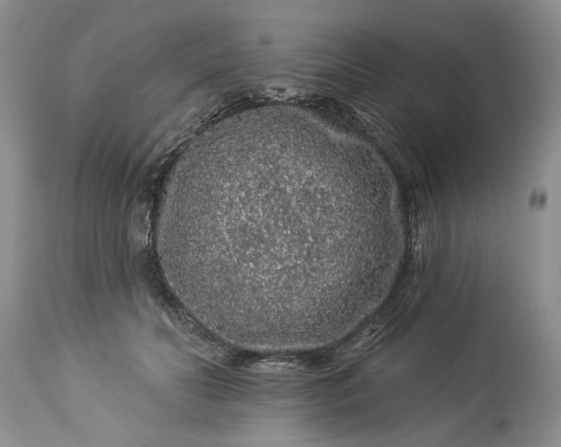 X0000114210606200910231408