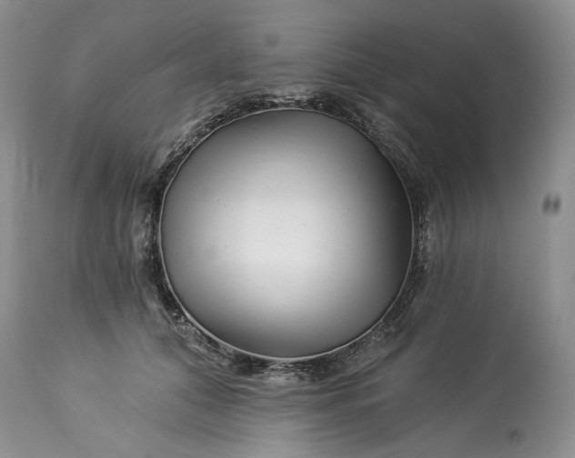 X0000114210608200910231408