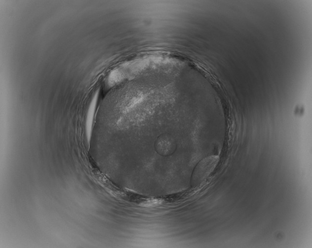 X0000114210609200910231408